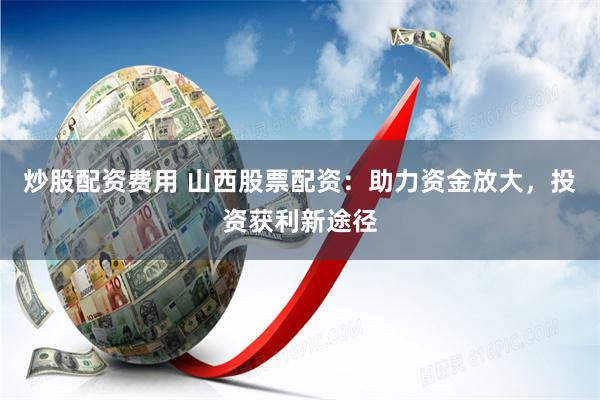 杠杆狂欢还是悬崖独舞？揭秘股票配资交易网的财富幻象与真实代价