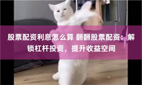 杠杆平台App：是财富跳板还是风险深渊？一位老用户的深度体验报告